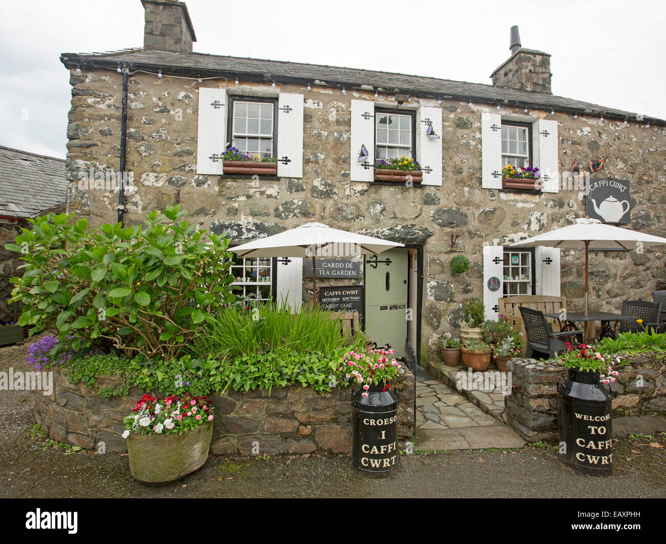 Attractive tea room at old stone cottage with outdoor seating in colourful garden & signs in Welsh language at Criccieth Wales Stock Photo