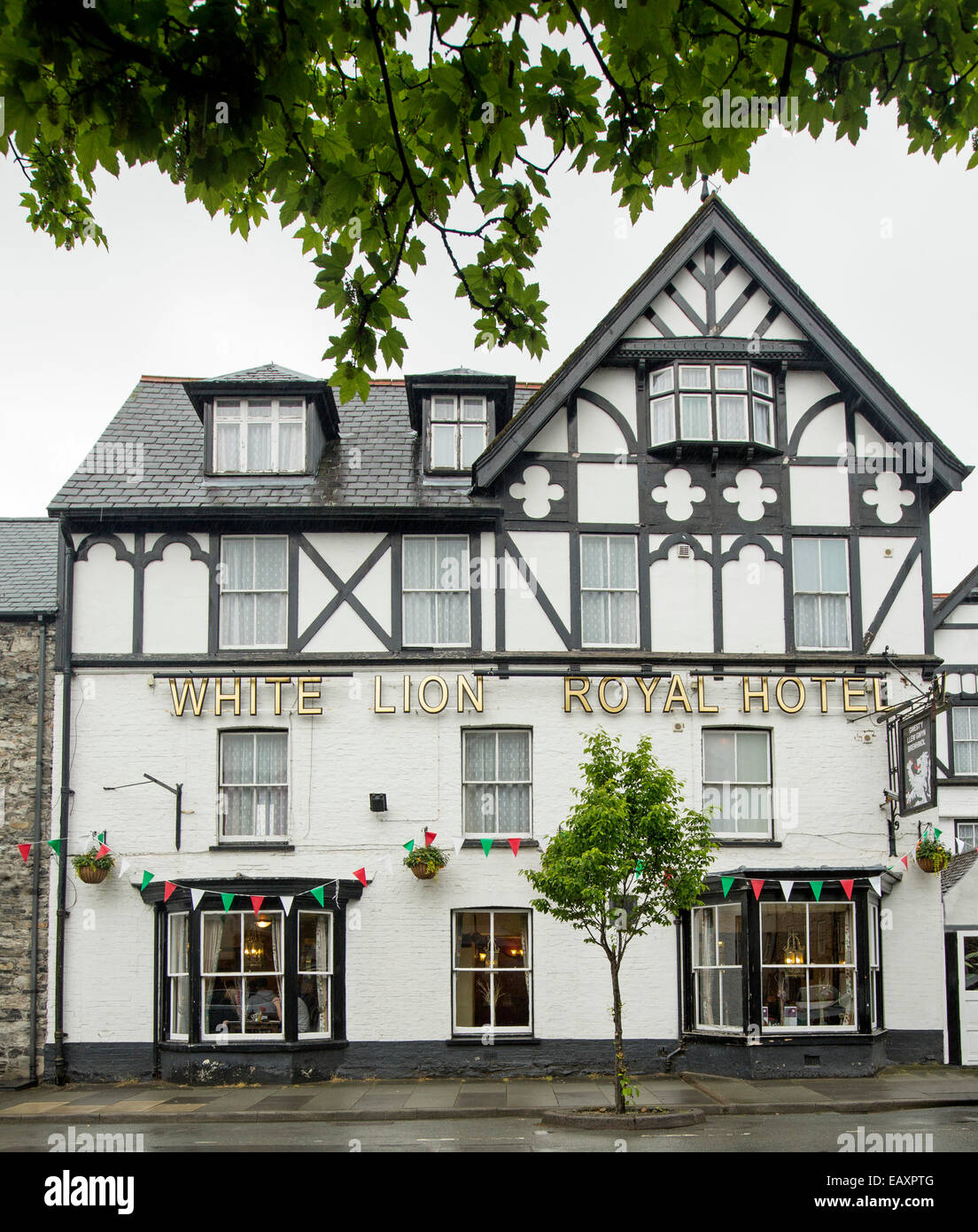 18th century White Lion Royal Hotel with ornate black and white Tudor style facade and overhanging trees in Welsh town of Bala Stock Photo