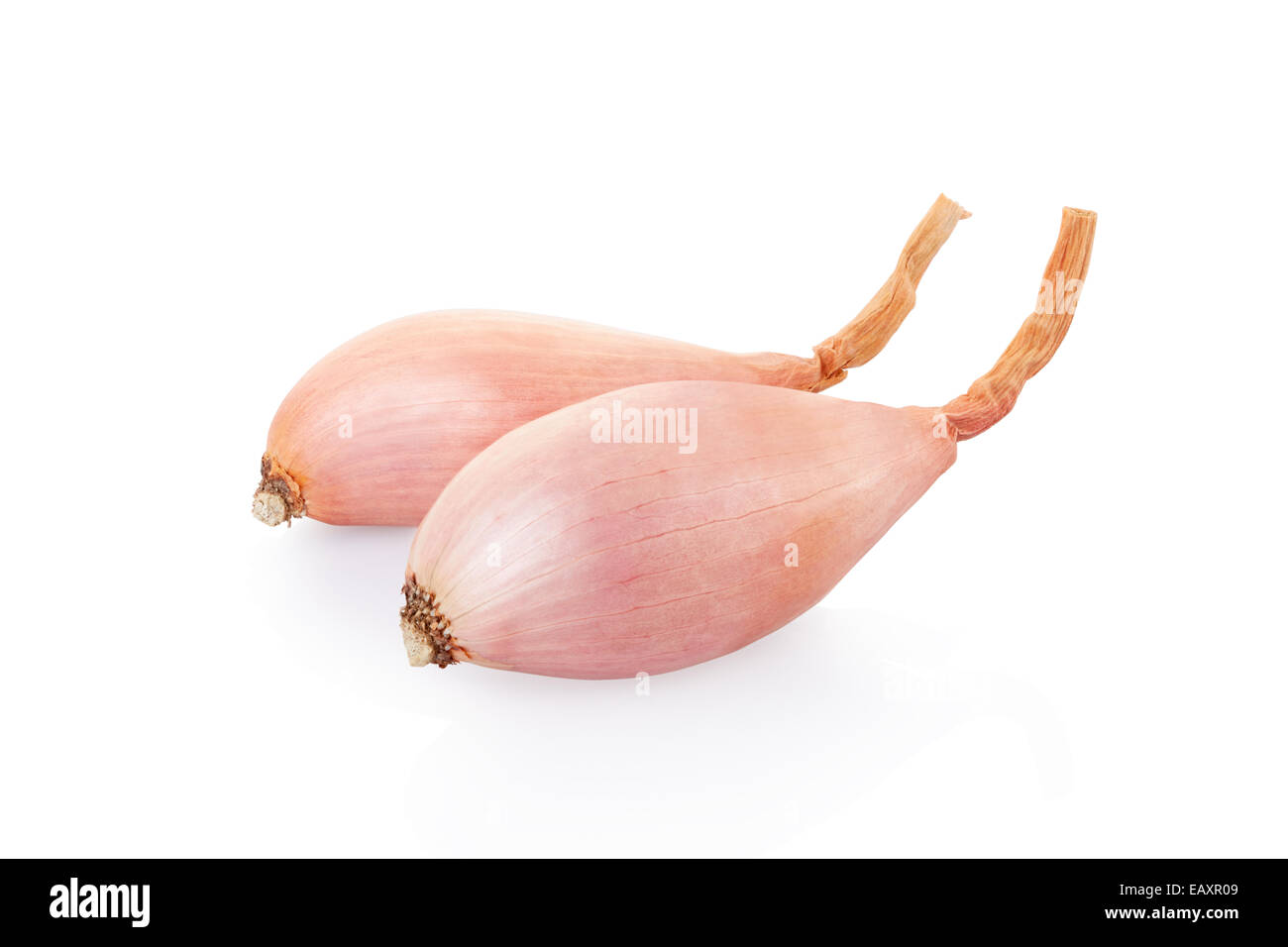 Shallot Stock Photos and Images - 123RF