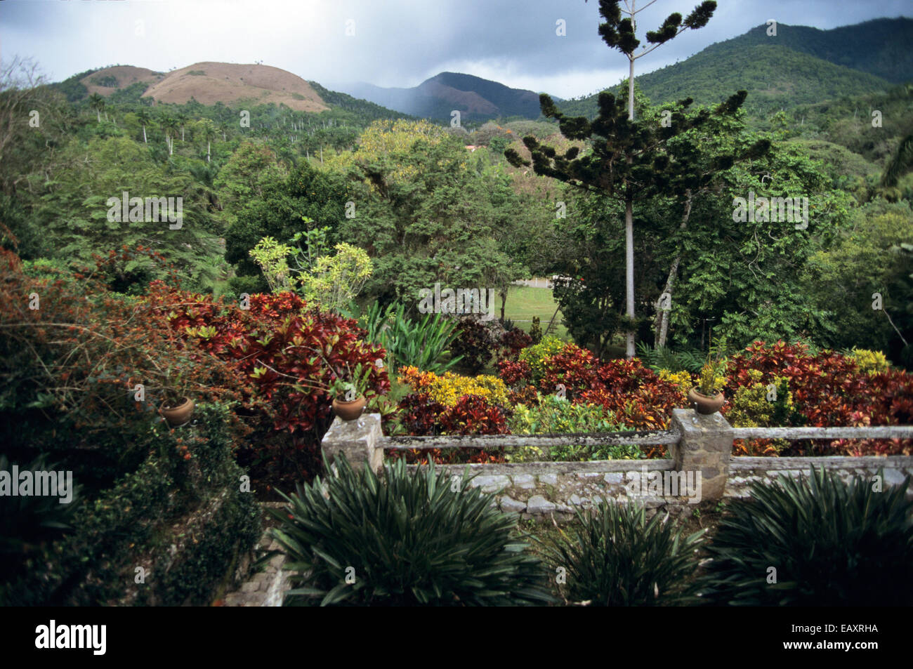 View of Sierra del Rosario (Rosario Mountain) from the Botanic Garden at Soroa, Pinar del Rio, Cuba, Caribbean Islands Stock Photo