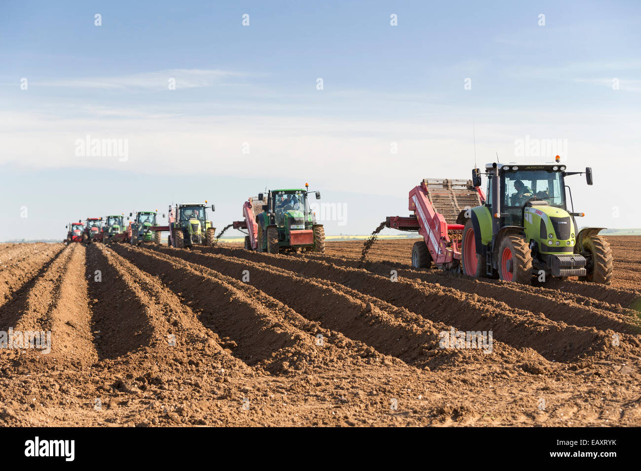 UK, Yorkshire, tractors ploughing, refining the grade of soil Stock