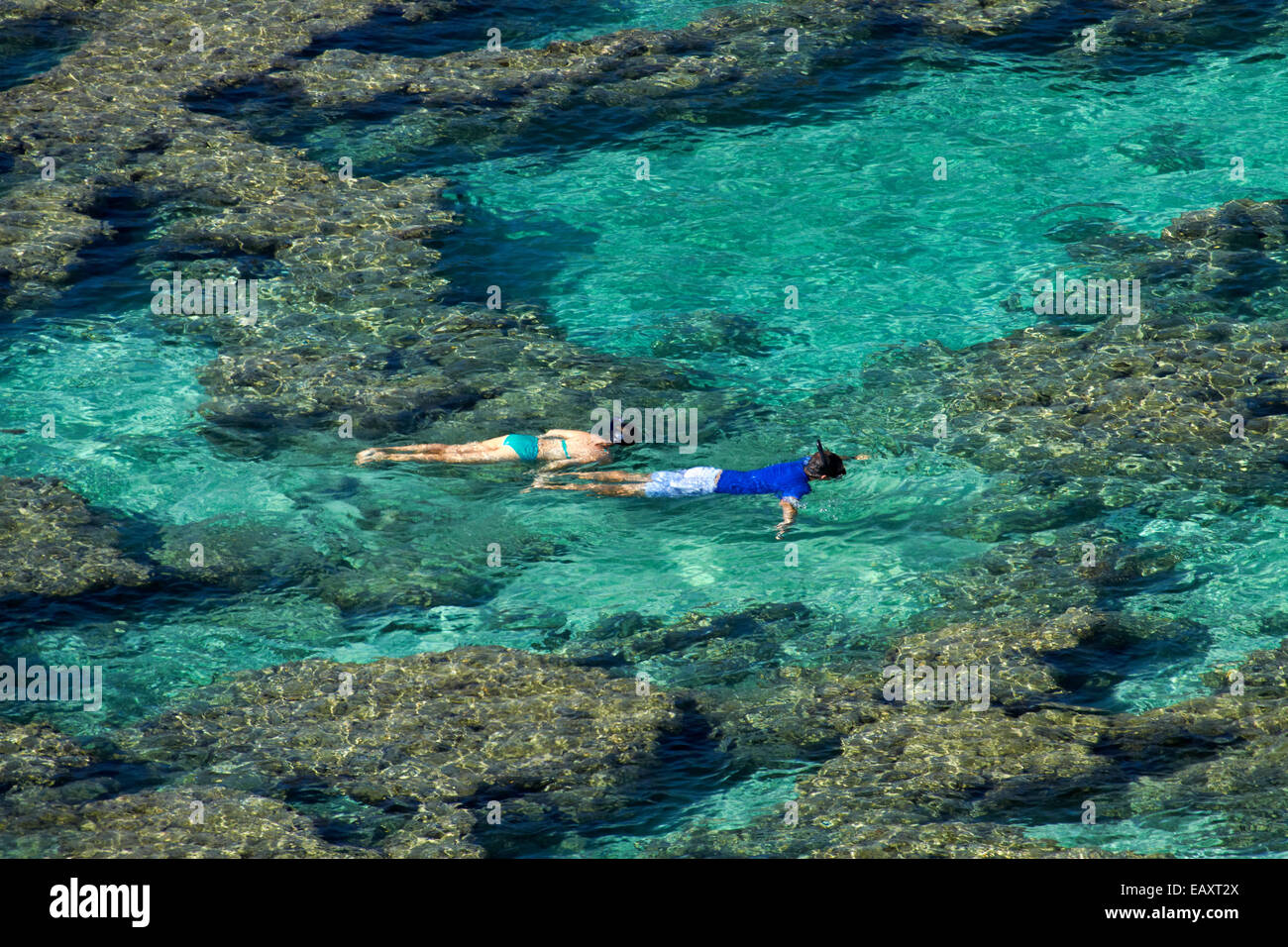 People snorkelling among coral reef at Hanauma Bay Nature Preserve