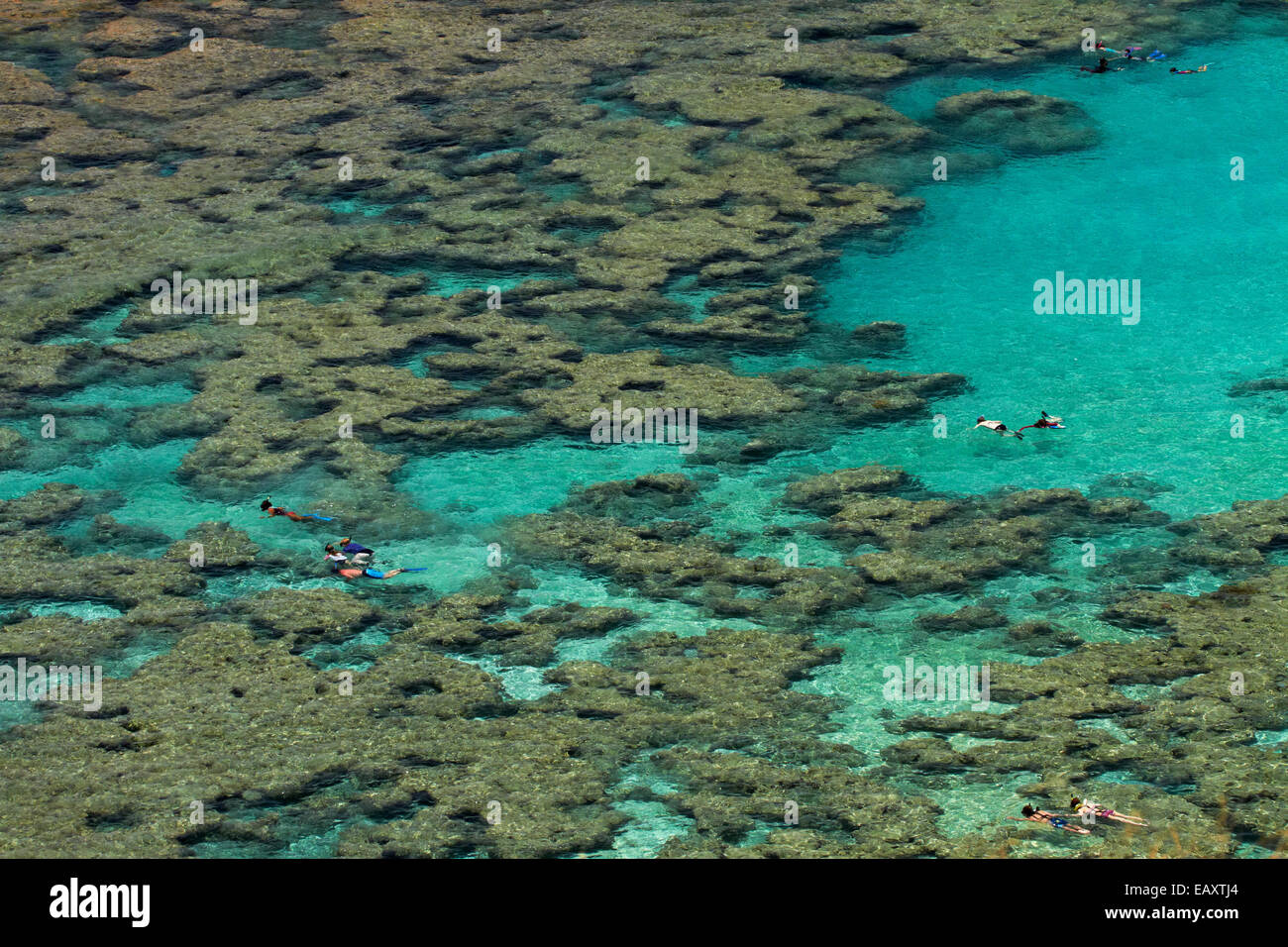 People snorkelling among coral reef at Hanauma Bay Nature Preserve
