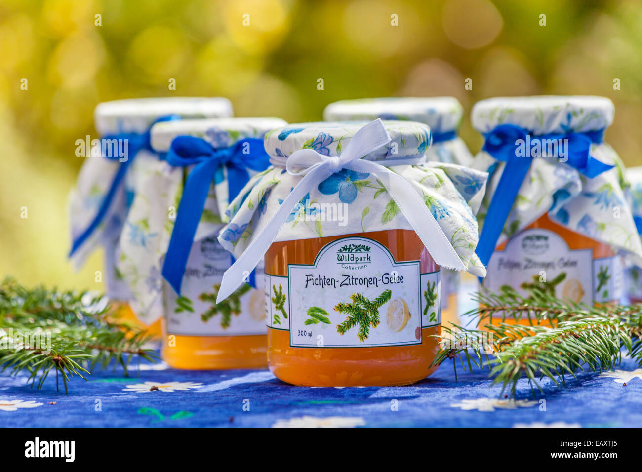 Bottles with pine and lemon jelly in the garden Stock Photo