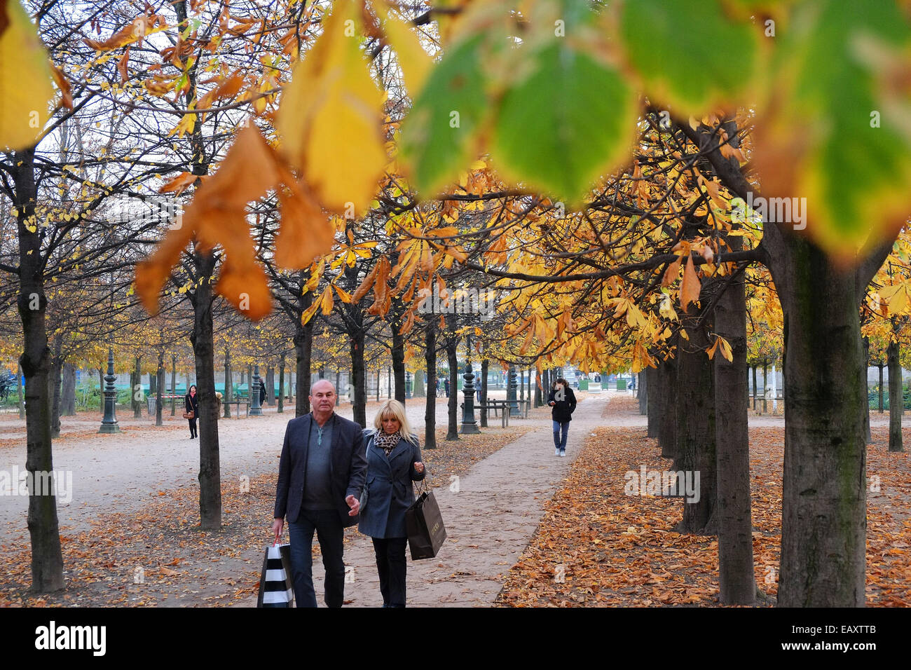 Paris, France. Couple with Christmas shopping bags walking through Tuileries Garden in Autumn/ November. Stock Photo