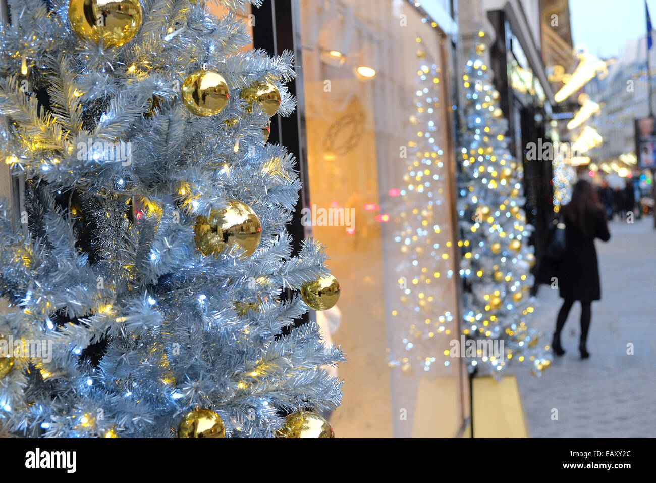 Paris, France. 21st Nov, 2014. Shopping along Christmas decorated and