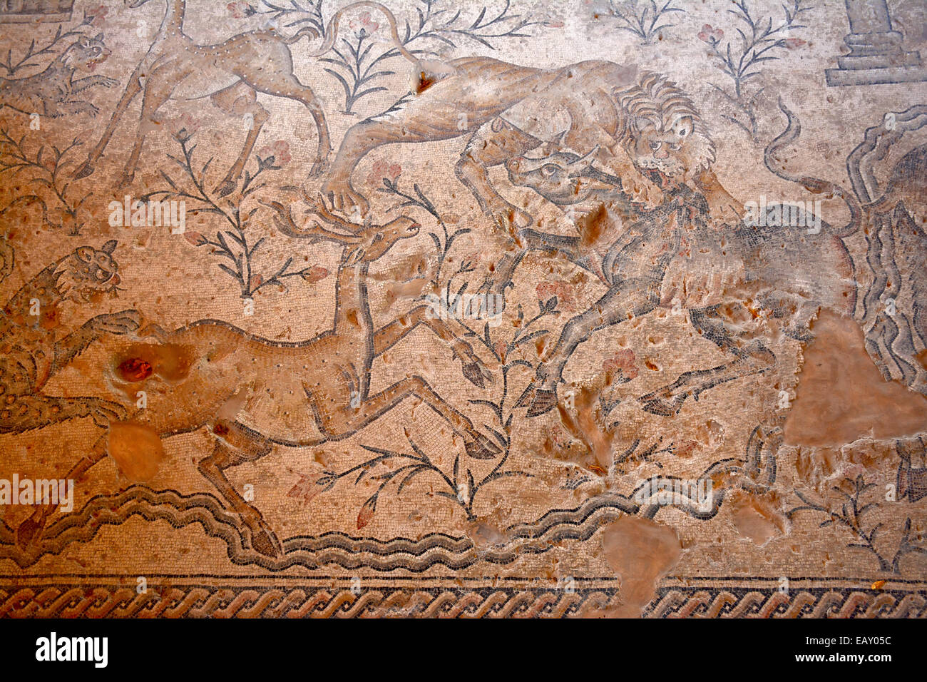 Ancient Mosaic, Tsipori, Israel Stock Photo