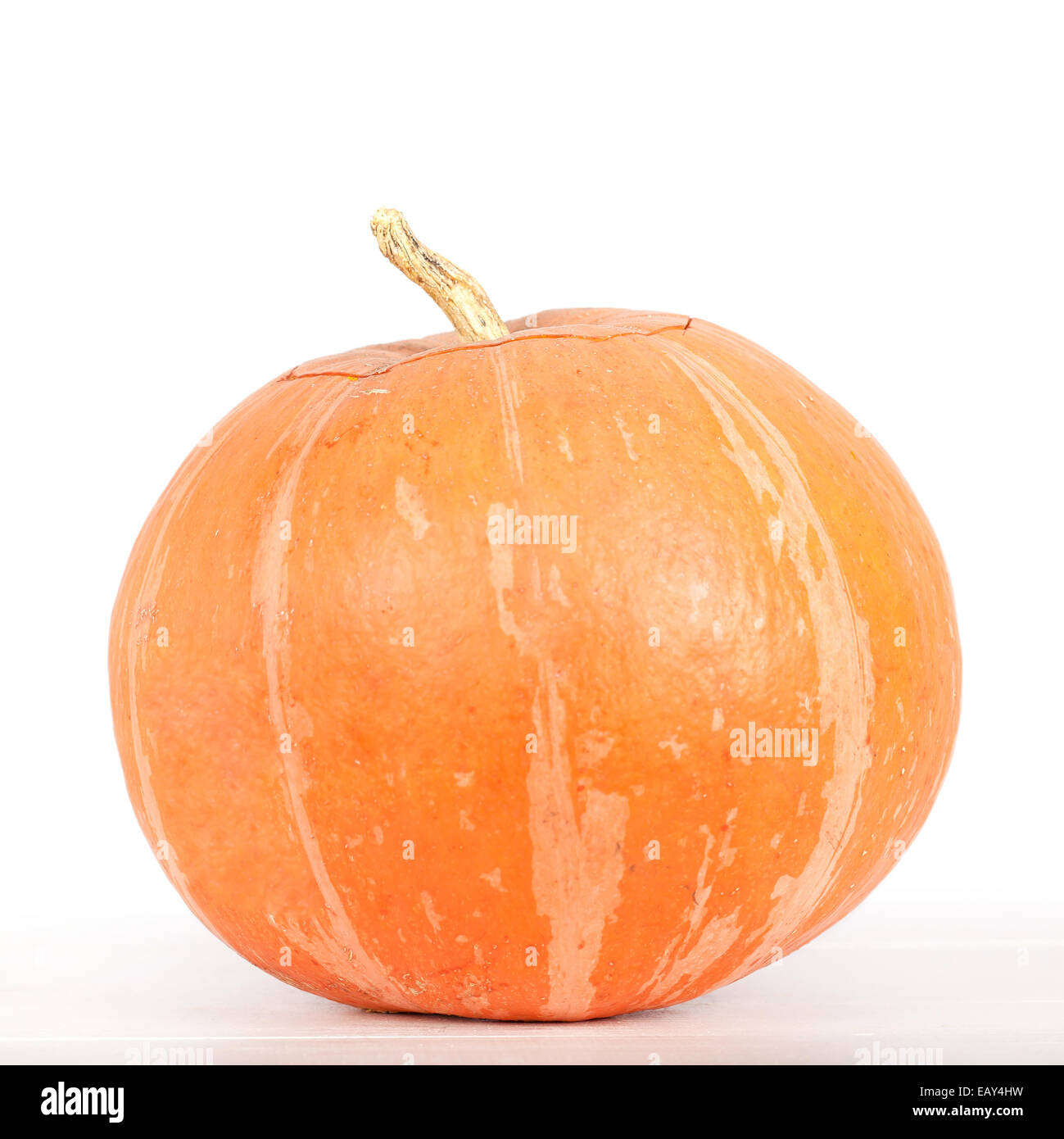 Pumpkin isolated on white background Stock Photo - Alamy