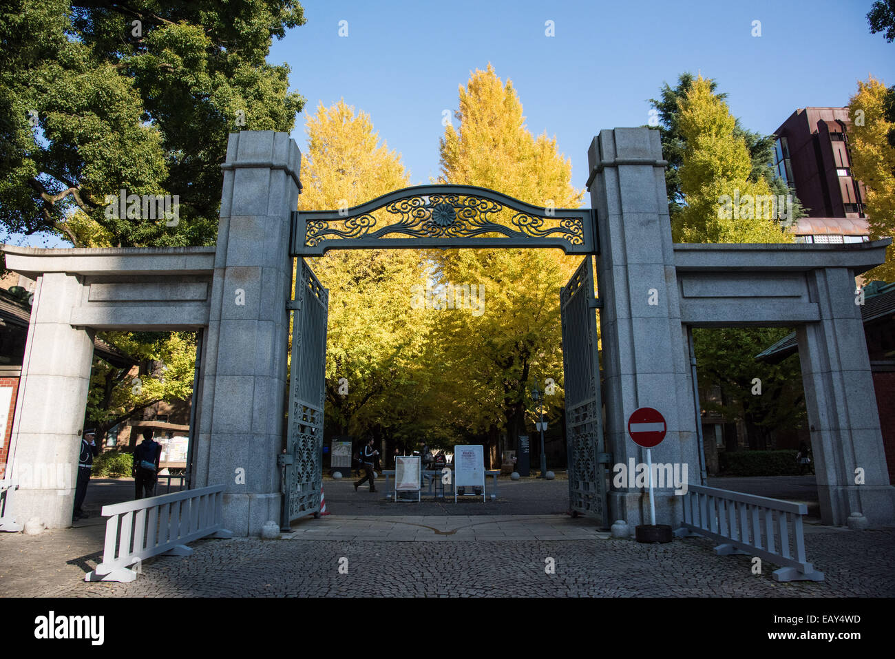 University of Tokyo,Bunkyoku,Tokyo,Japan Stock Photo Alamy