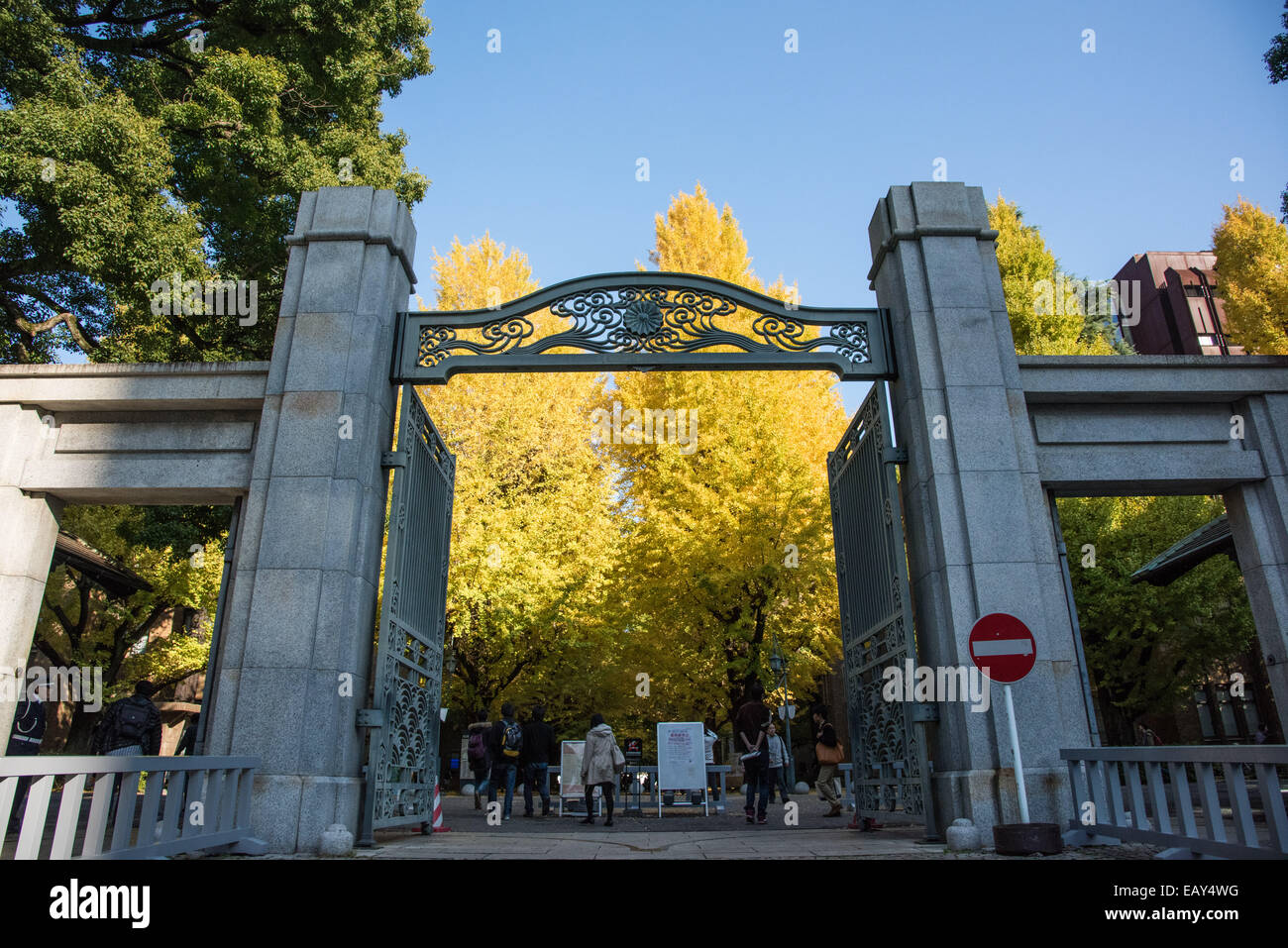 University of Tokyo,Bunkyoku,Tokyo,Japan Stock Photo Alamy
