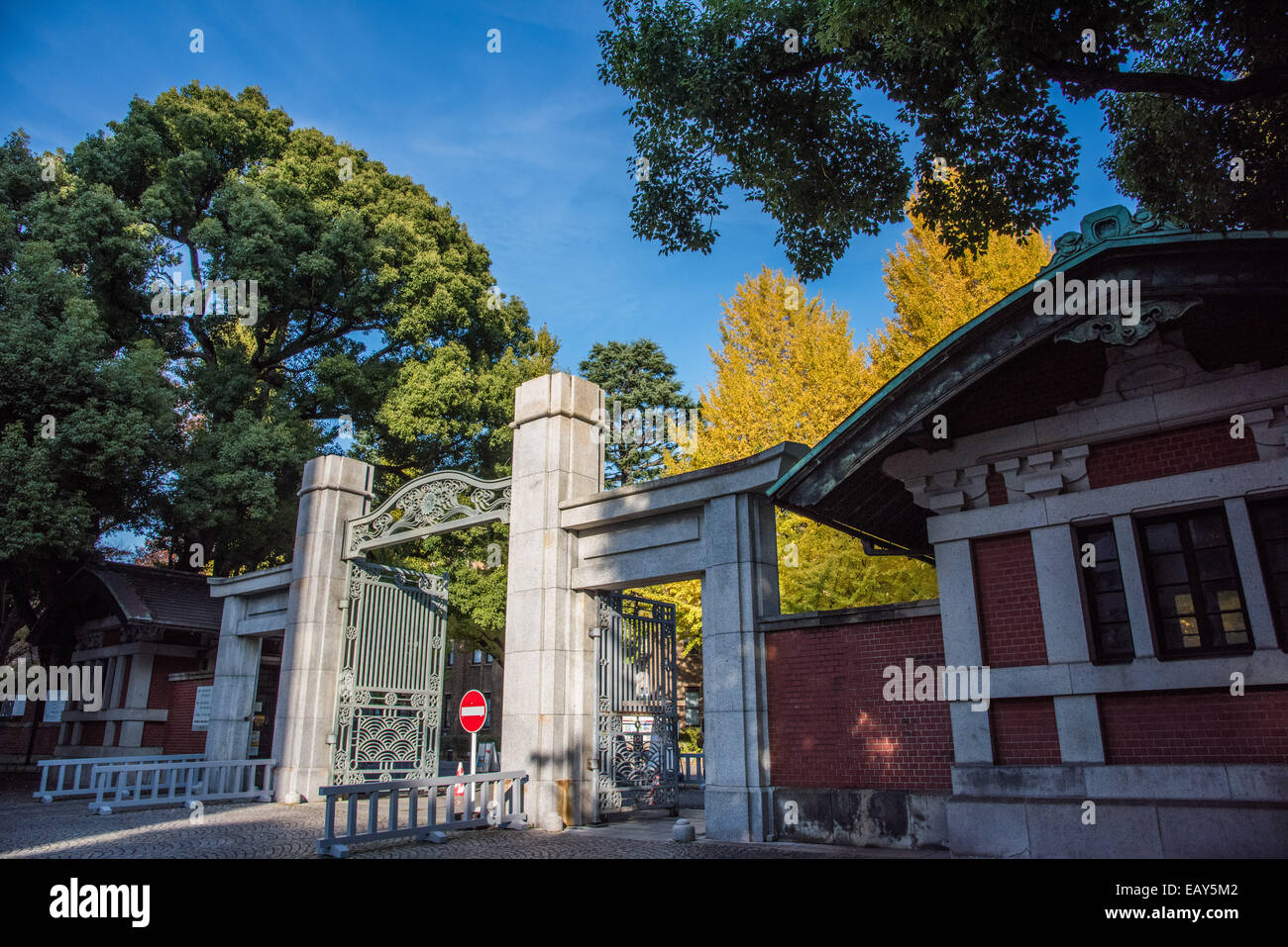 University of Tokyo,Bunkyoku,Tokyo,Japan Stock Photo Alamy