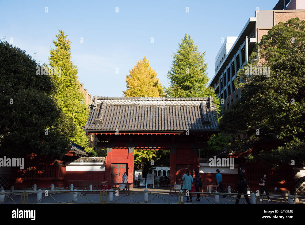 University of Tokyo,Bunkyoku,Tokyo,Japan Stock Photo Alamy