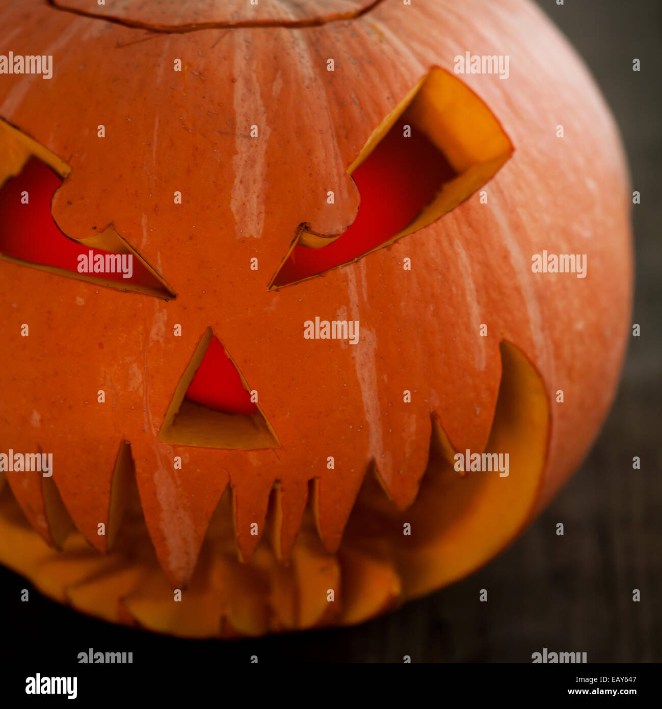 Pumpkin isolated on white background Stock Photo - Alamy