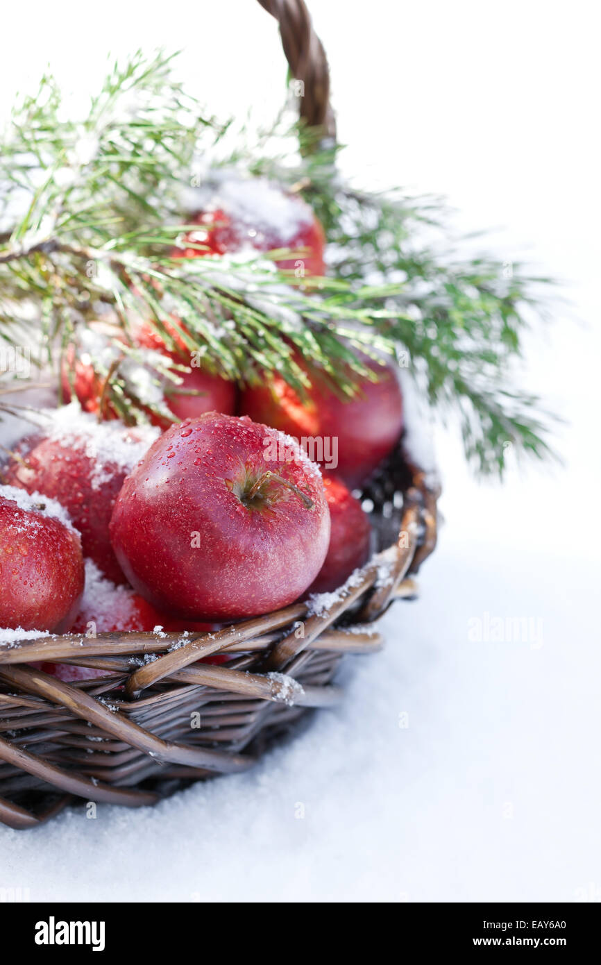 Basket with red apples decorated fir branch, snow-covered in nature winter forest Stock Photo