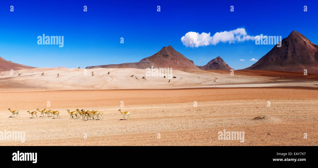 Panorama shot of the 'Salvador Dali desert' in the highlands of Bolivia Stock Photo