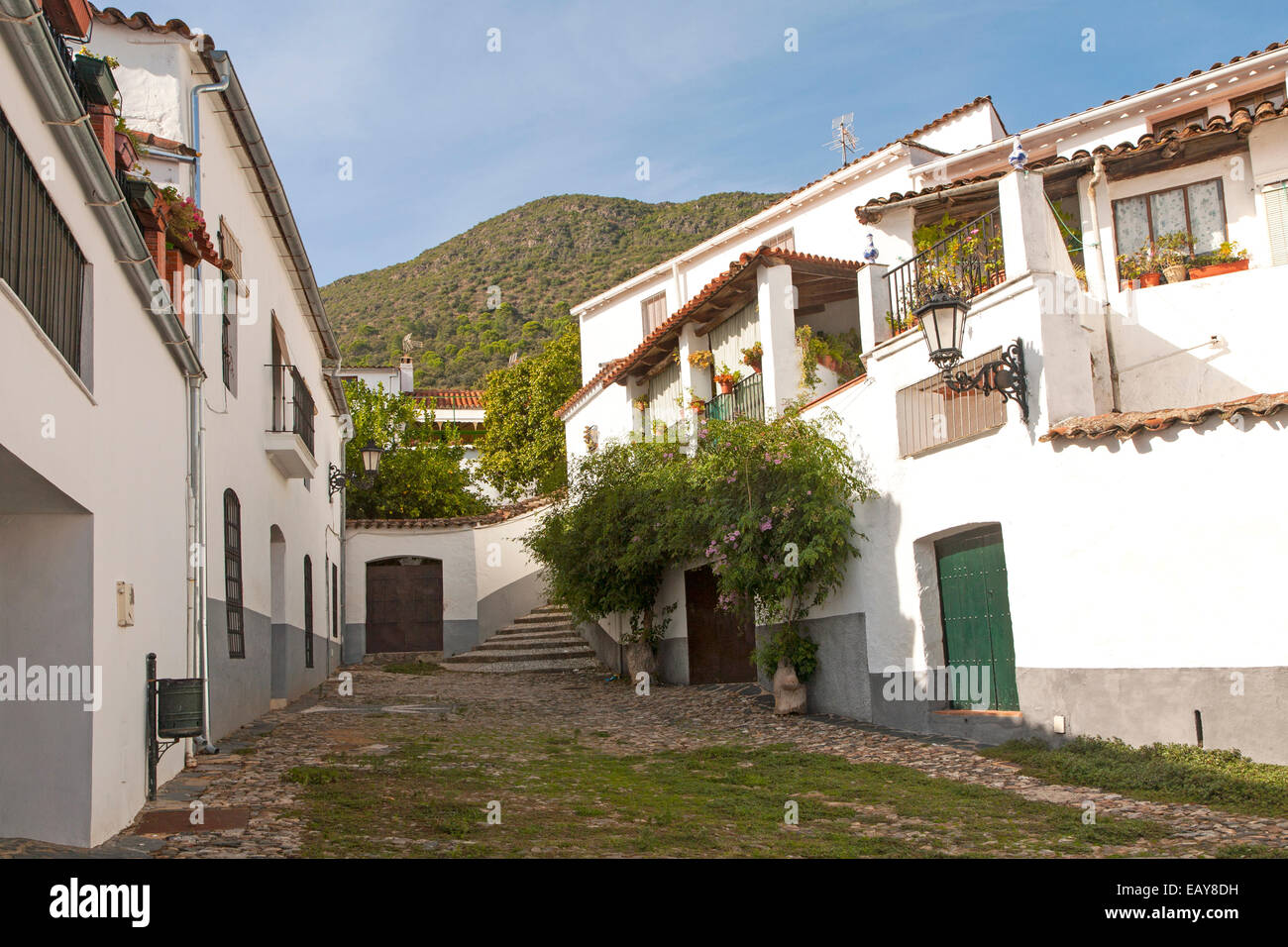 Whitewashed houses in village of Linares de la Sierra, Sierra de Aracena, Huelva province, Spain Stock Photo