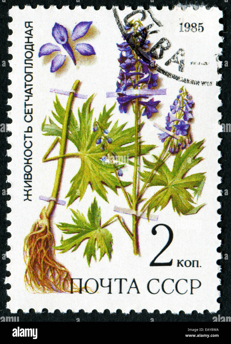 RUSSIA - CIRCA 1985: post stamp printed in USSR (ussr, soviet union) shows plant of Delphinium Dictyocaryum from series: medicin Stock Photo