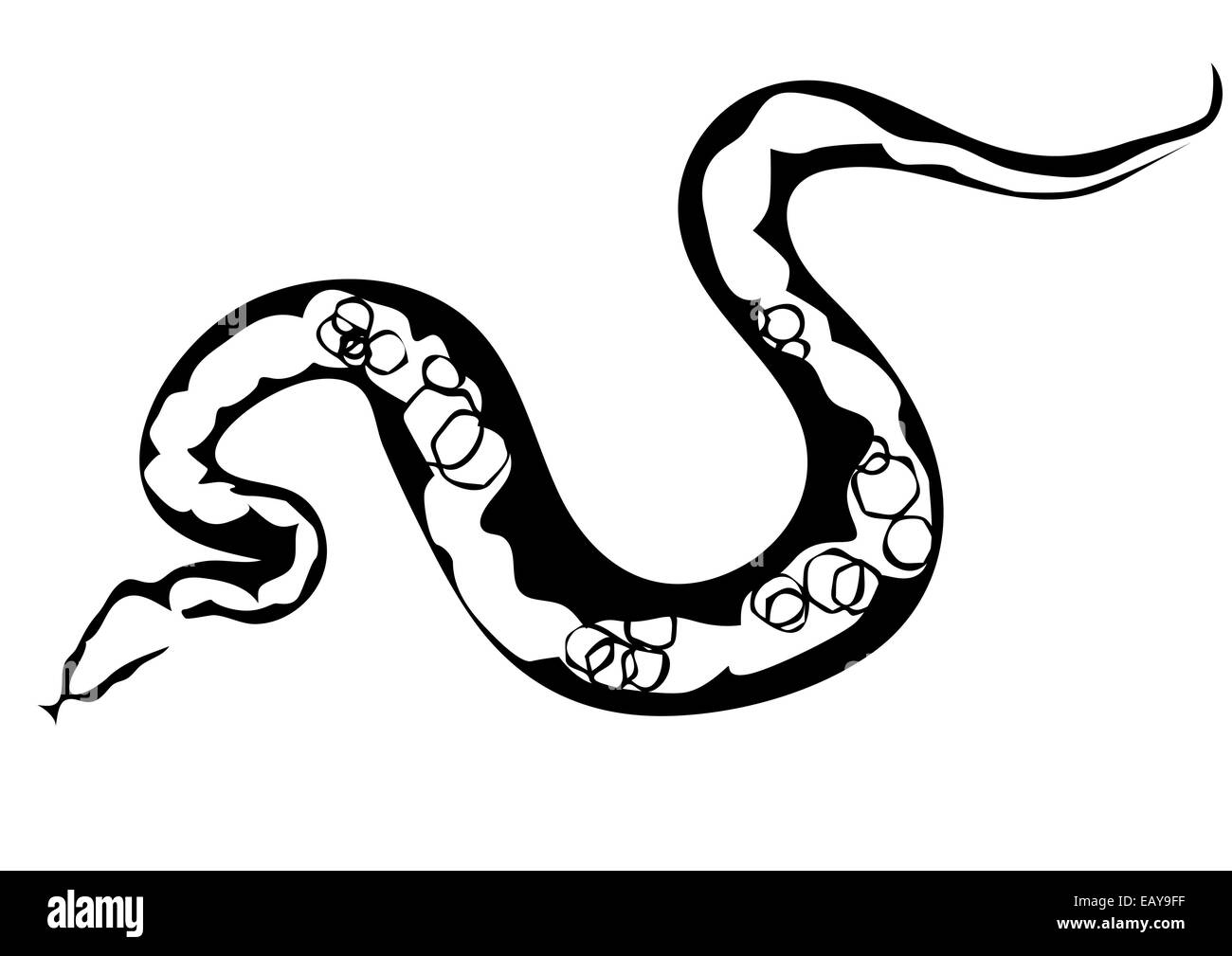 Python illustration Black and White Stock Photos & Images - Alamy