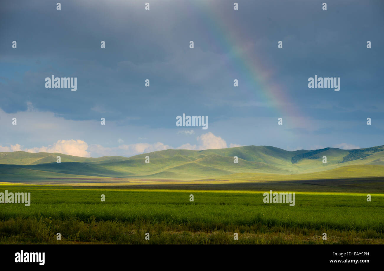 Grasslands, Mongolian steppe, Mongolia Stock Photo