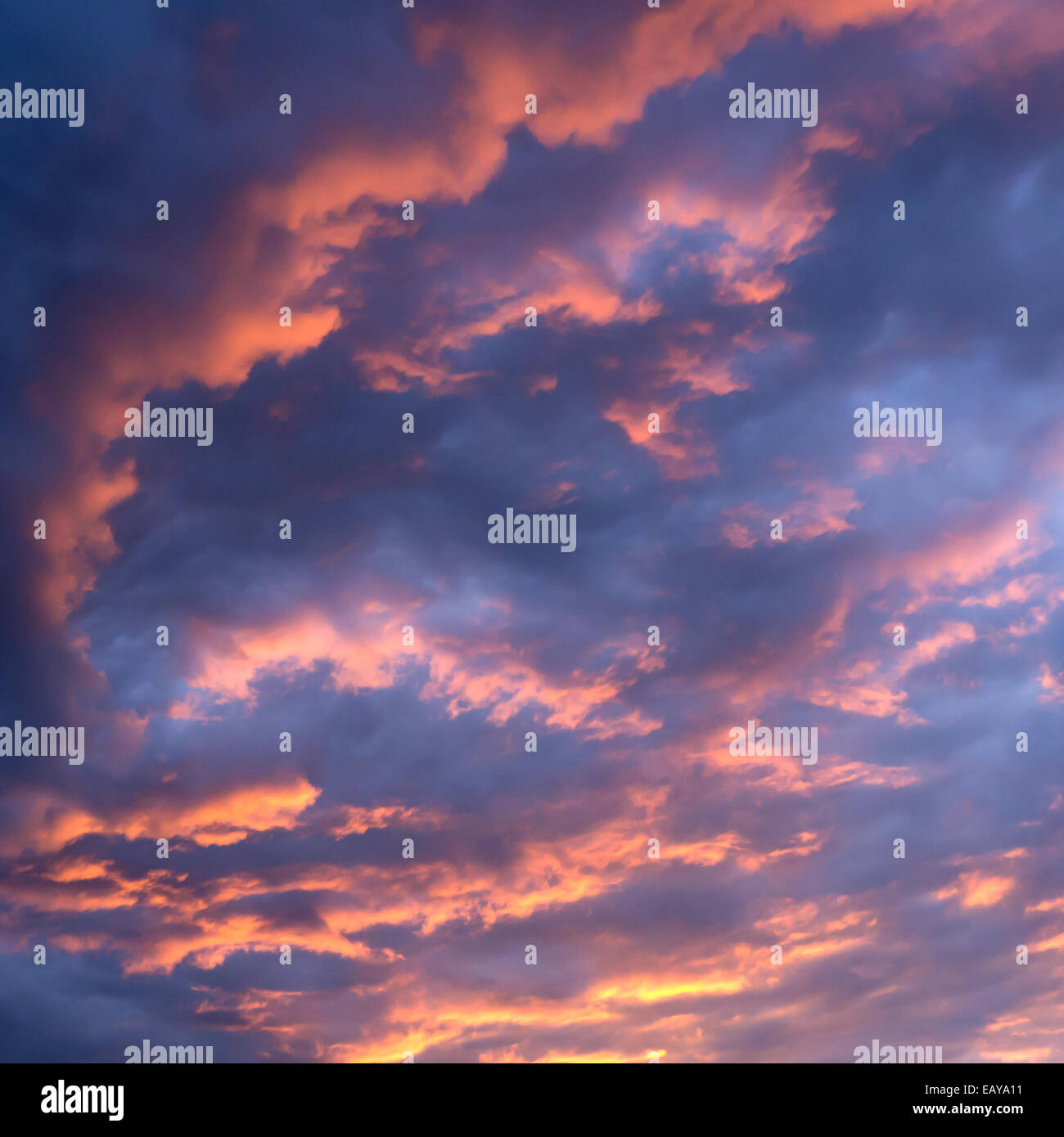 sunset sky with blue, red and orange colors Stock Photo