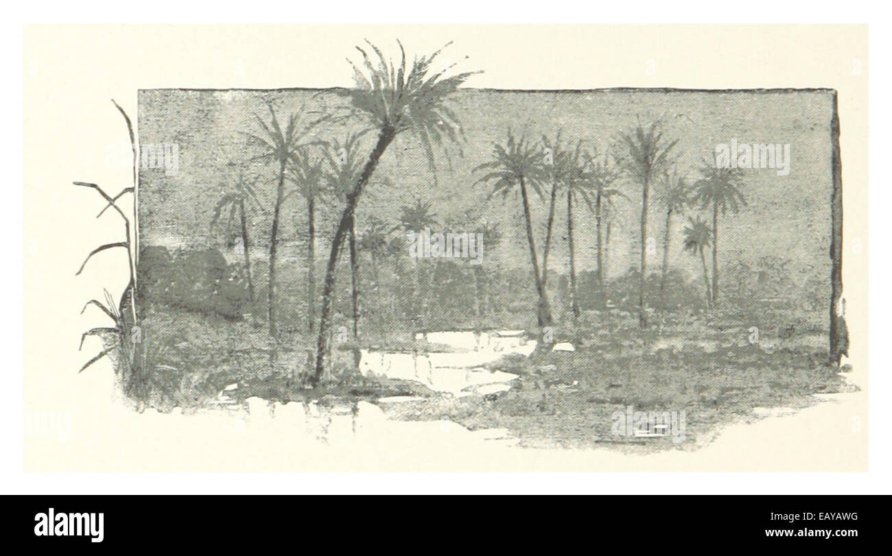 THE OLD CANOE CANOE SUBMERGED IN CYPRESS SWAMP CYPRESS 1889 ANTIQUE ENGRAVING