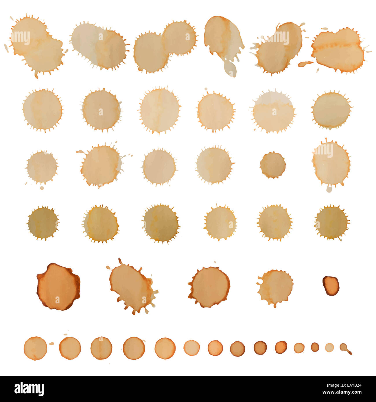 Coffee stains set isolated on white. Vector illustration. Stock Photo