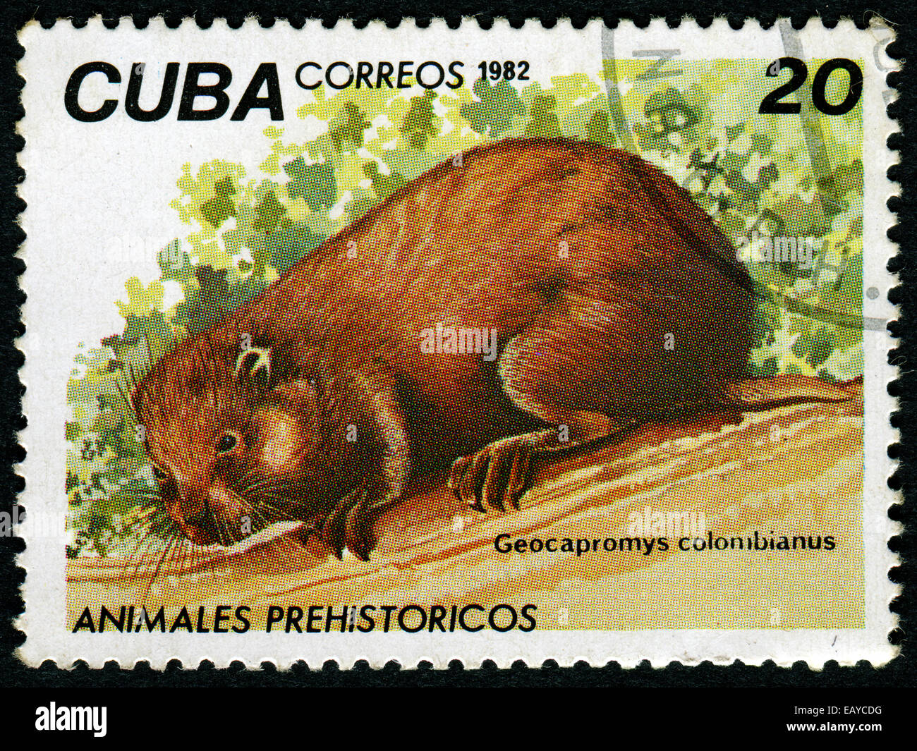 CUBA - CIRCA 1982: A Stamp printed in CUBA shows Geocapromys colombianus, circa 1982 Stock Photo