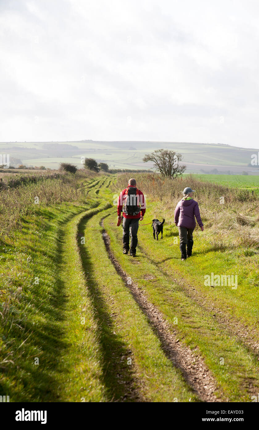 The Ridgeway long distance footpath dating from prehistory near its