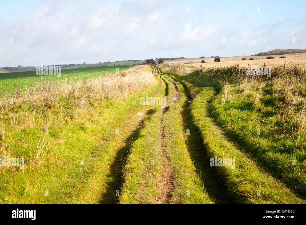 Ridgeway long distance footpath dating from prehistory near start on