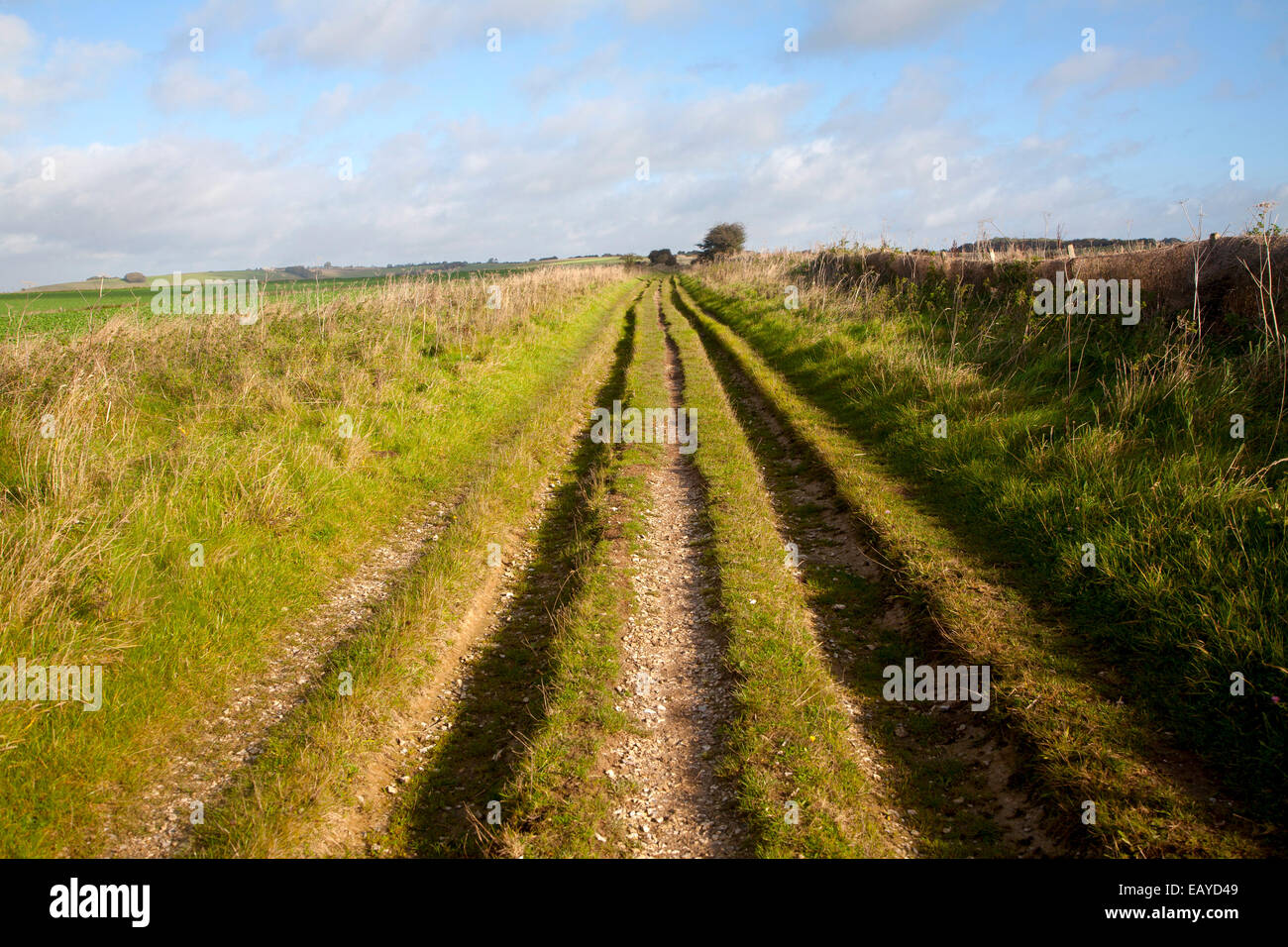 The Ridgeway long distance footpath dating from prehistory near its