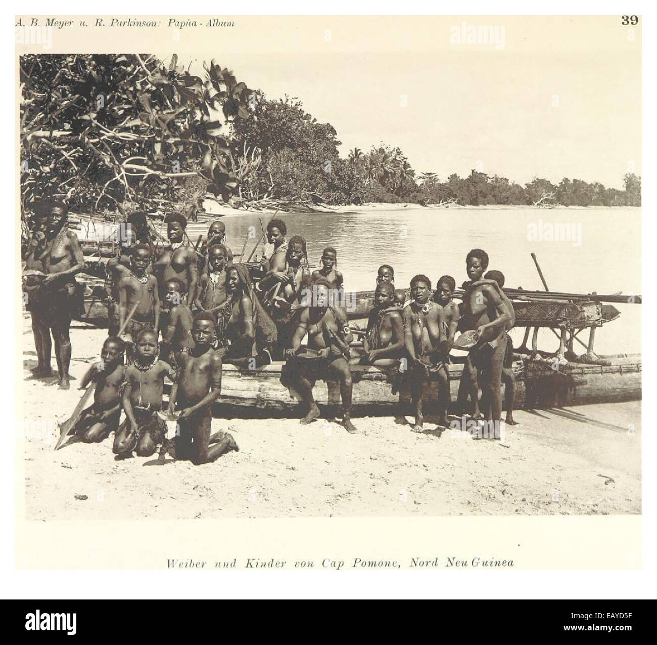 Anthropological studies of Turtle Island cultures