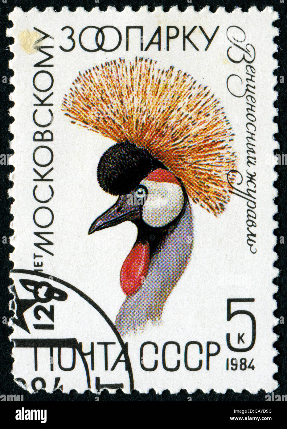 USSR - CIRCA 1984: The postal stamp printed in USSR shows crane, series 120 anniversary of the Moscow Zoo, circa 1984 Stock Photo