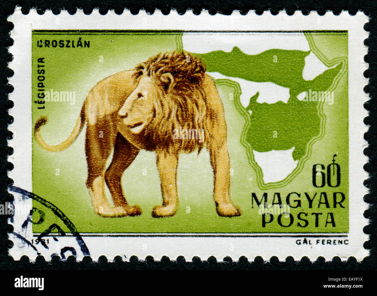 HUNGARY - CIRCA 1981: The postal stamp printed in HUNGARY shows Lion, series wild animals, circa 1981 Stock Photo