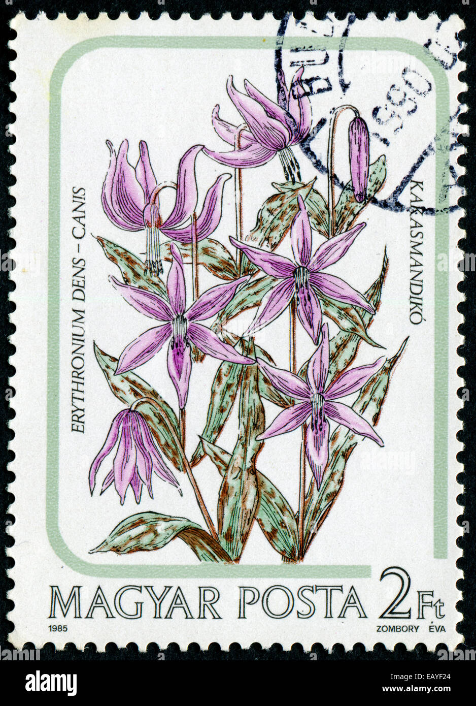 Postage stamp hungary airmail hi-res stock photography and images - Alamy