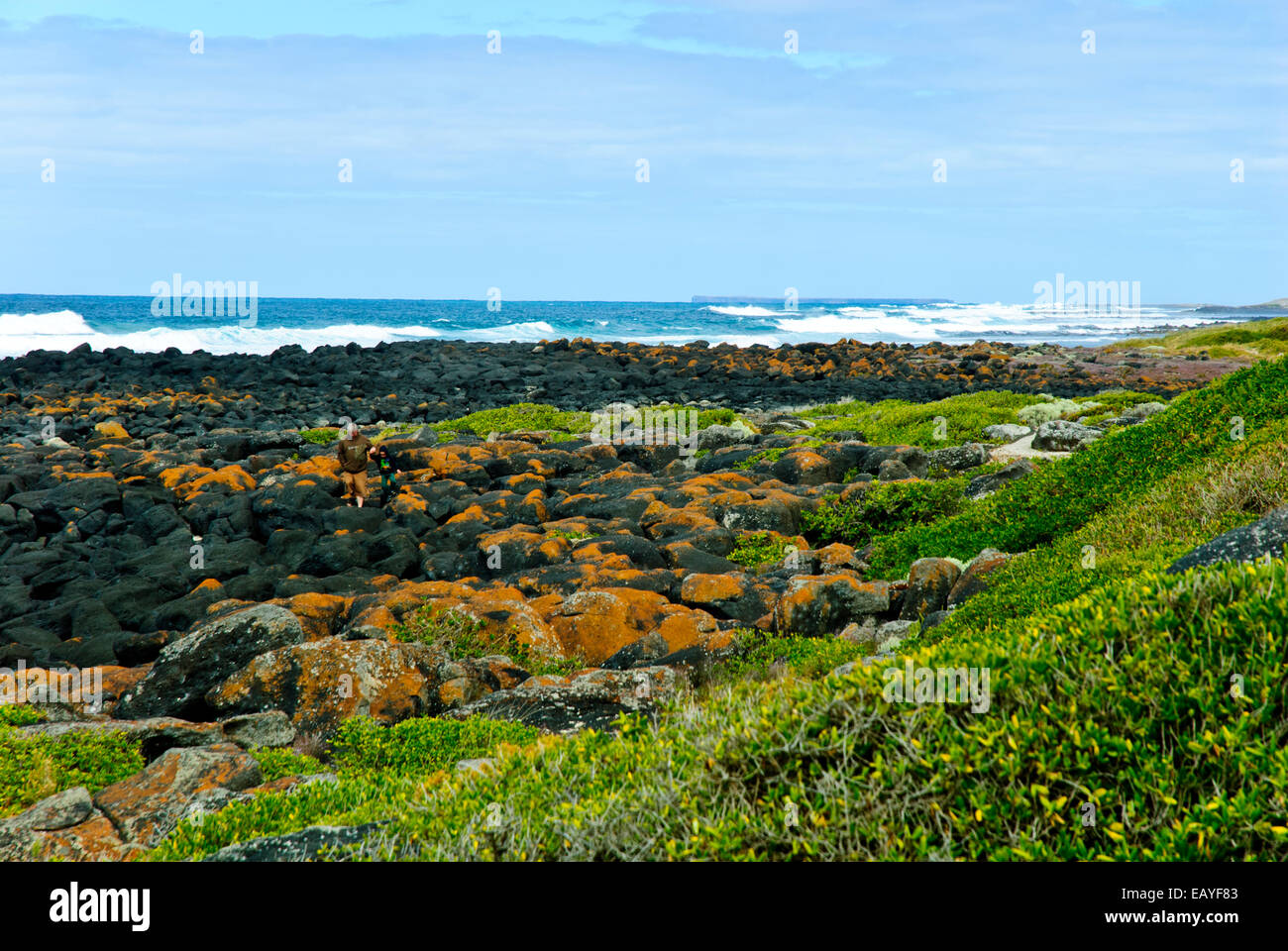 Robe Town,Great Ocean Rd,Seascapes,Canunada National Park,Empty Beaches, Green Seas,Sunshine,Inland Waterways,South Australia Stock Photo