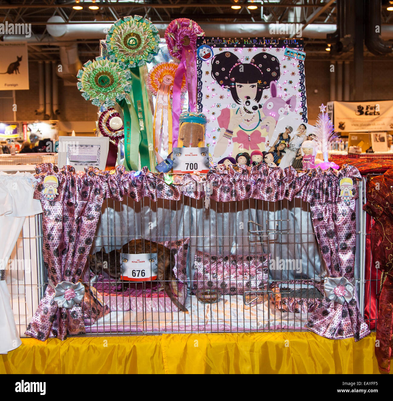 Birmingham, UK. 22nd Nov, 2014. Supreme cat show where all cats compete to be the Supreme cat from kittens to adult cats. Credit:  steven roe/Alamy Live News Stock Photo
