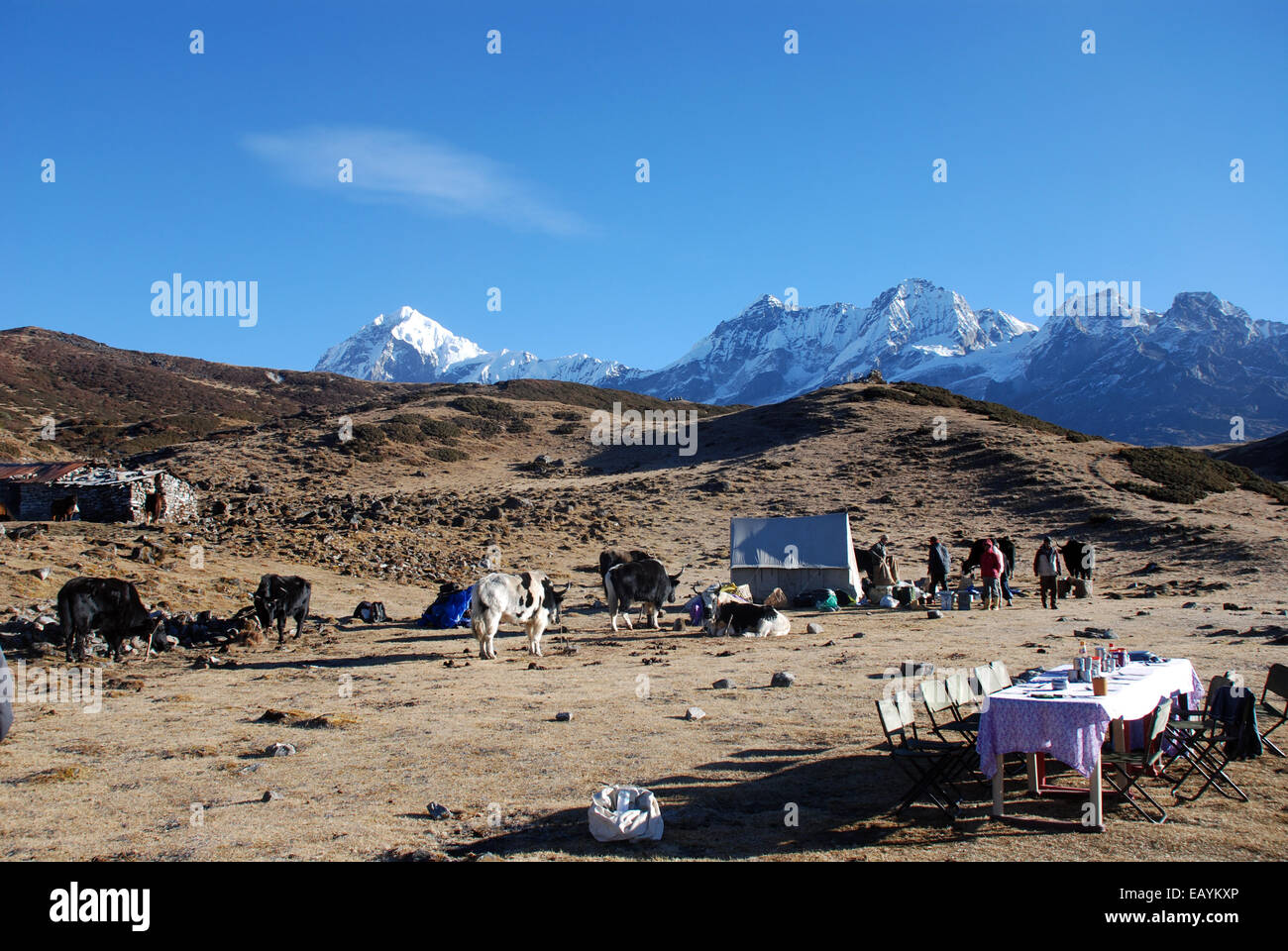 A campsite on the Singalila ridge in the Indian Himalayas with the peaks of the high mountains visible in the background Stock Photo