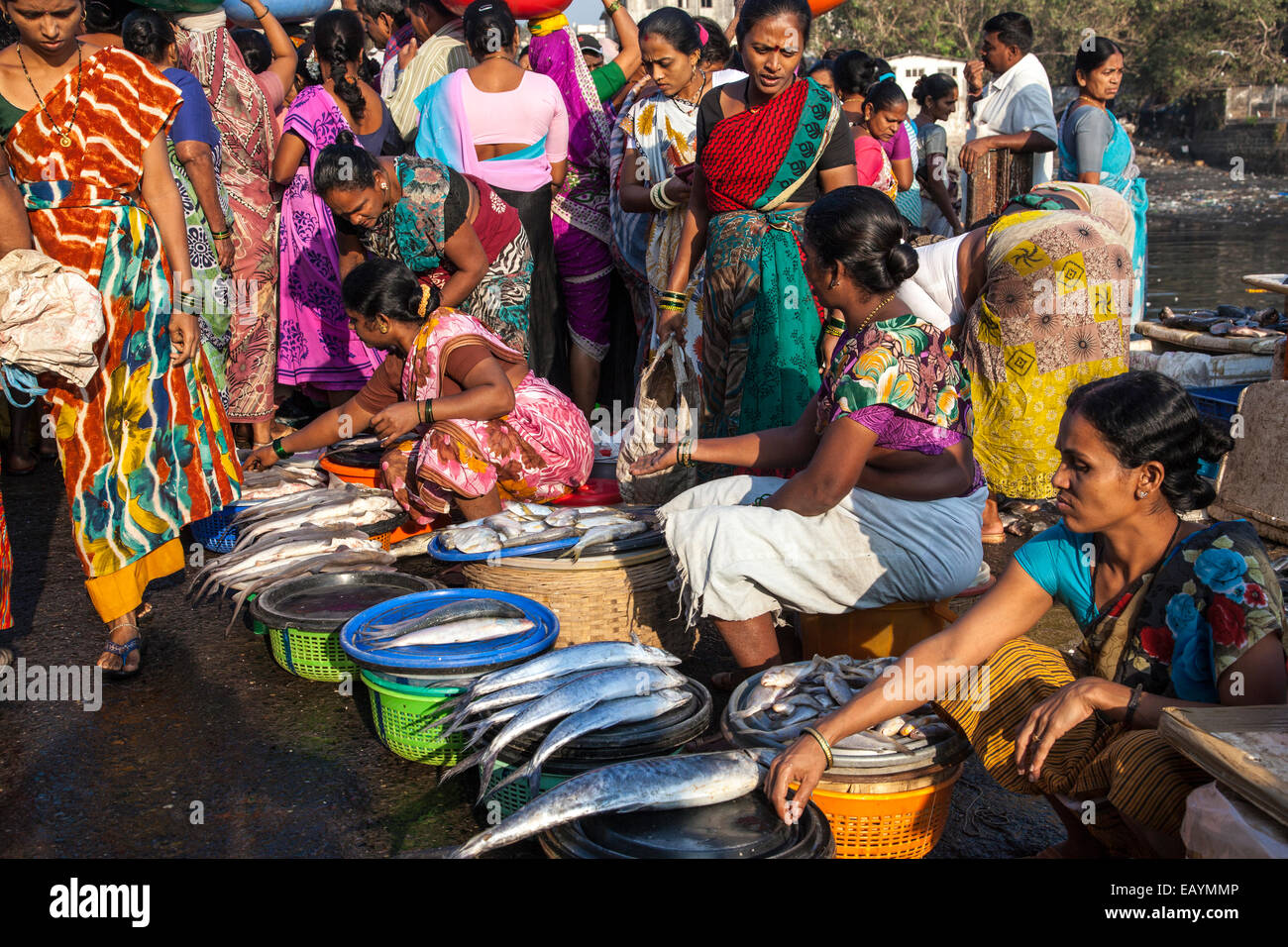 Fish market mumbai docks hires stock photography and images Alamy