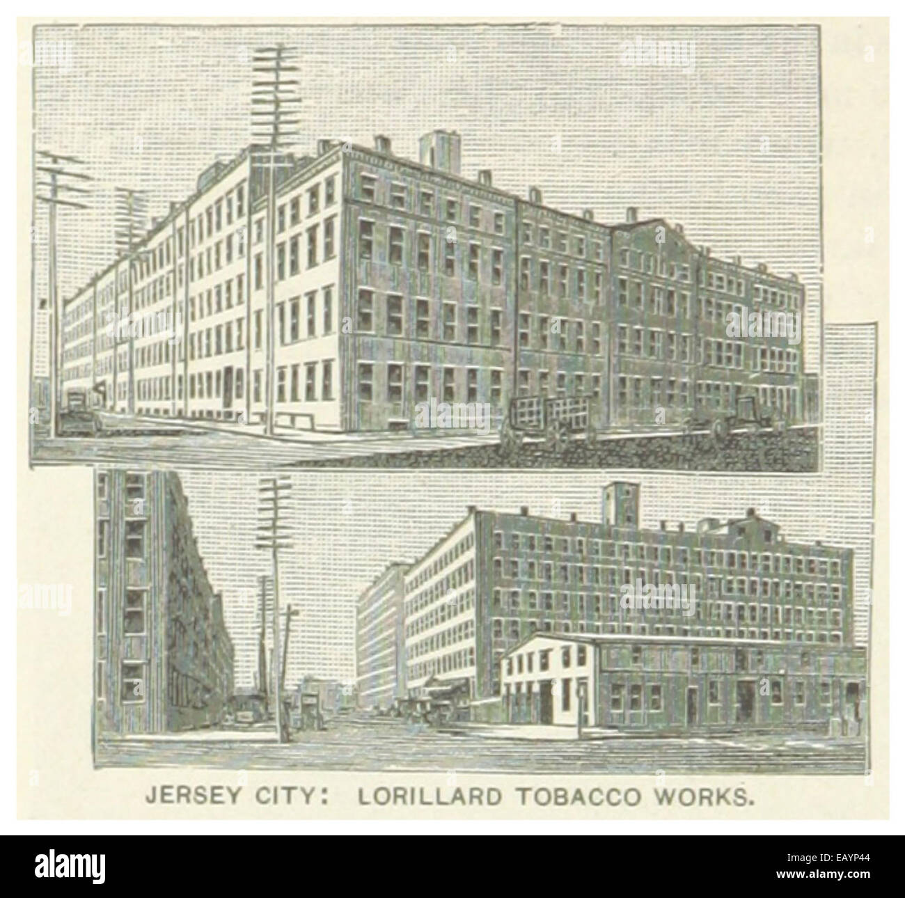 lorillard tobacco company This 1891 illustration shows the Lorillard Tobacco Works in Jersey City,  New Jersey. The facility was a key player in the American tobacco industry,  particularly in the late 19th century Stock Photo -