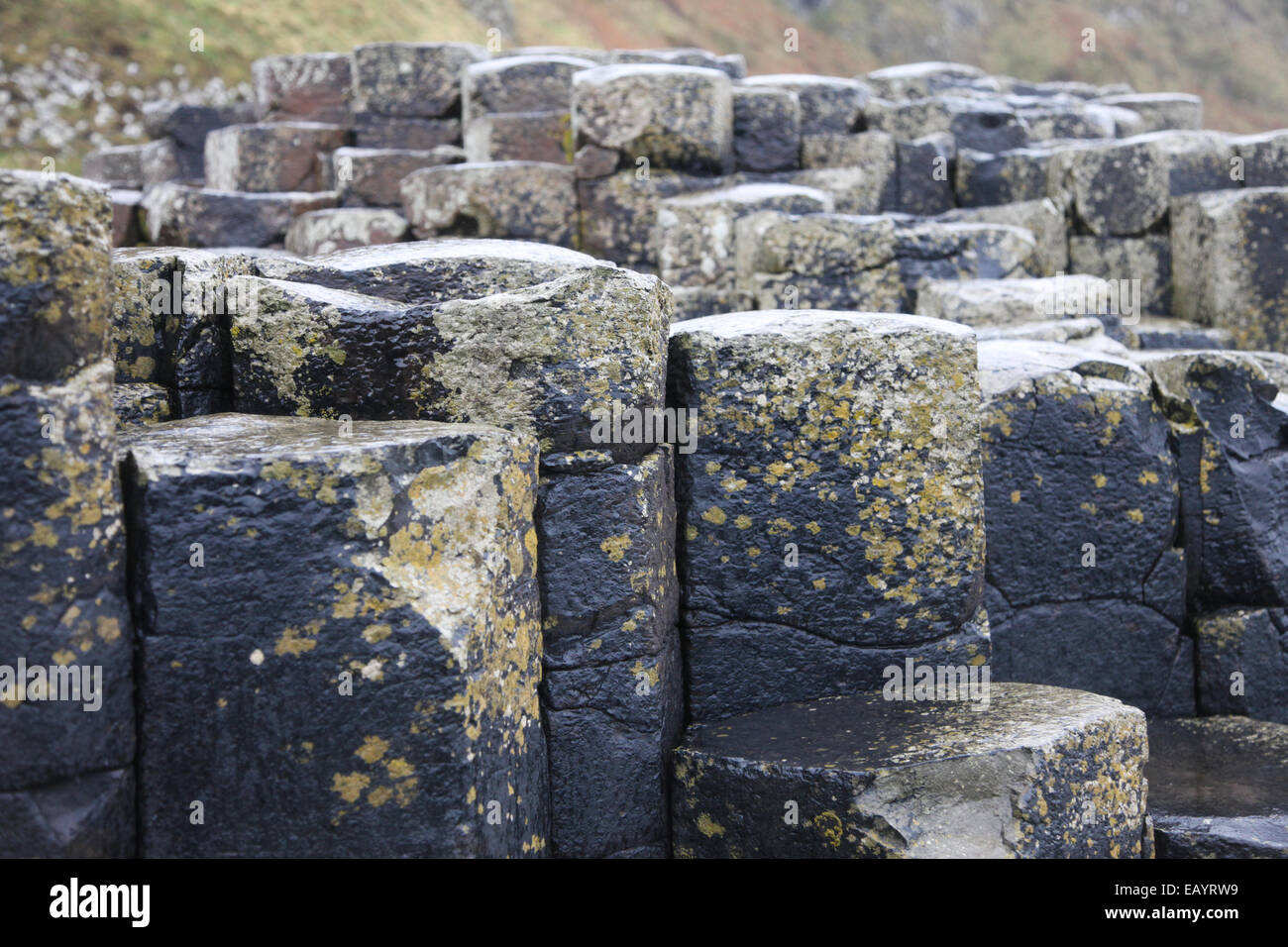 The Giant's Causeway Stock Photo