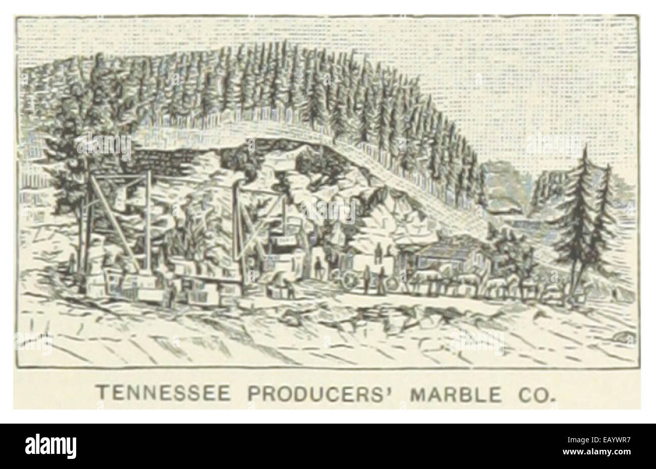 US-TN(1891) p803 TENNESSEE PROD. MARBLE COMPANY Stock Photo