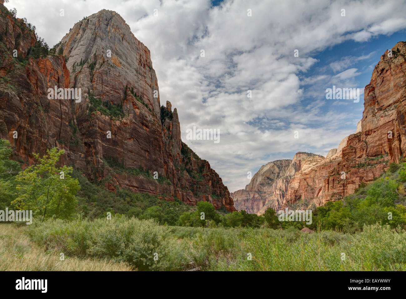 Great White Throne, Zion Canyon, Zion National Park, Utah Stock Photo