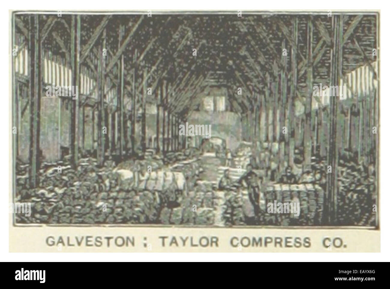 US-TX(1891) p832 GALVESTON, TAYLOR COMPRESS CO., STORAGE BUILDING Stock Photo