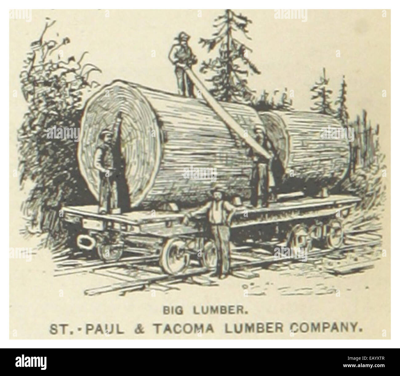 USWA(1891) p874 ST.PAUL AND LUMBER COMPANY Stock Photo Alamy