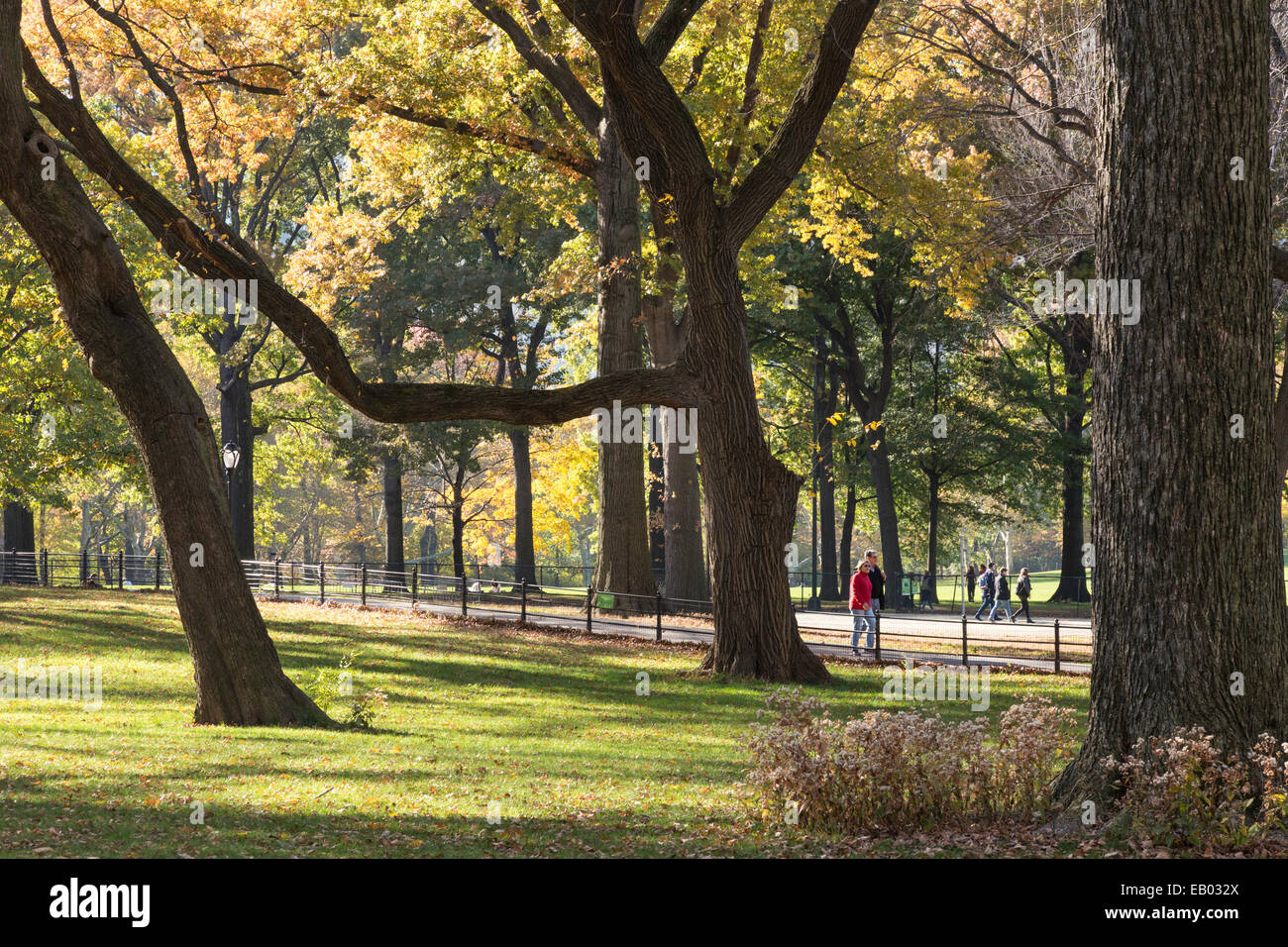 Central Park, Autumn NYC Stock Photo - Alamy