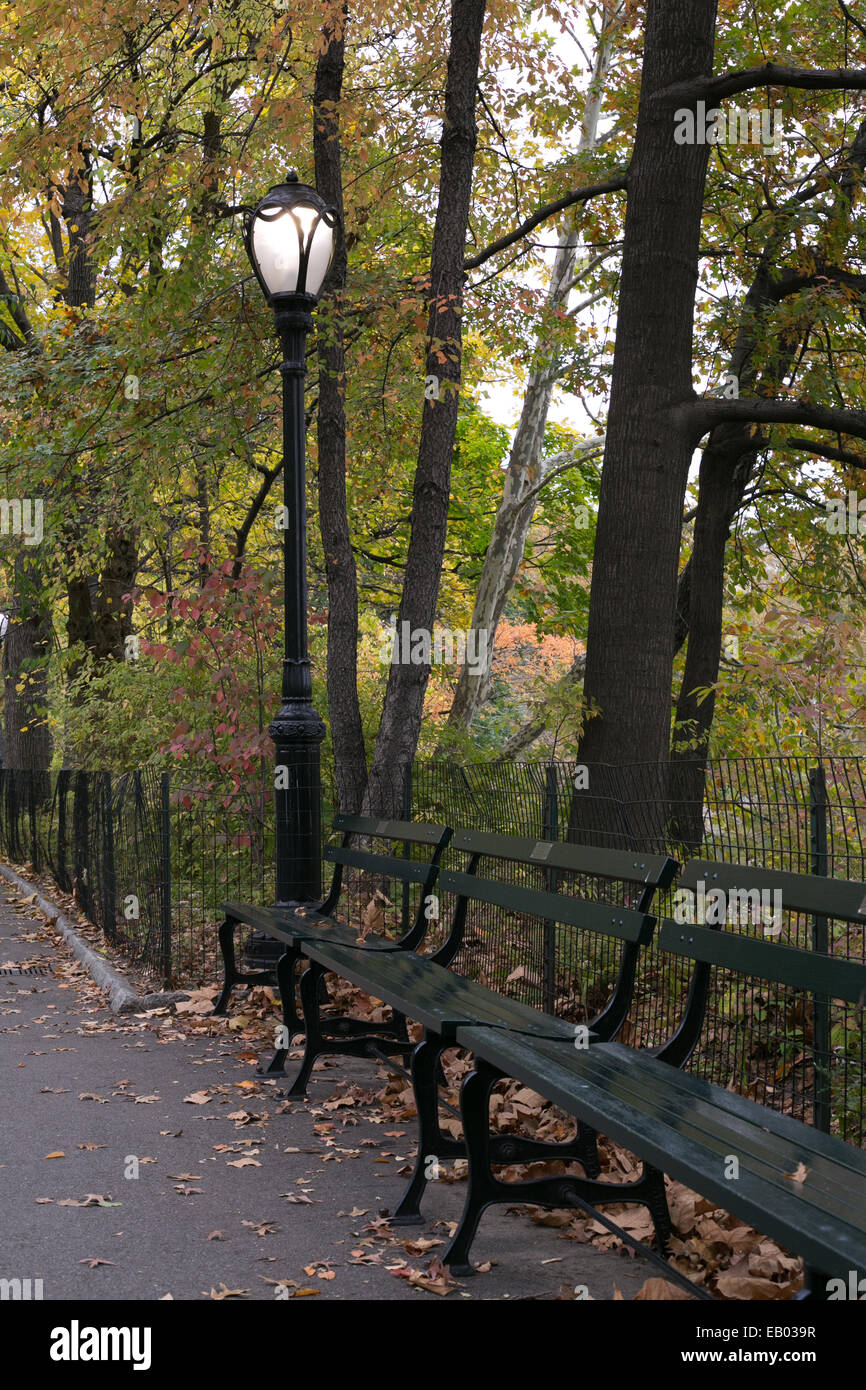 A green bench in Central Park, New York City Stock Photo Alamy