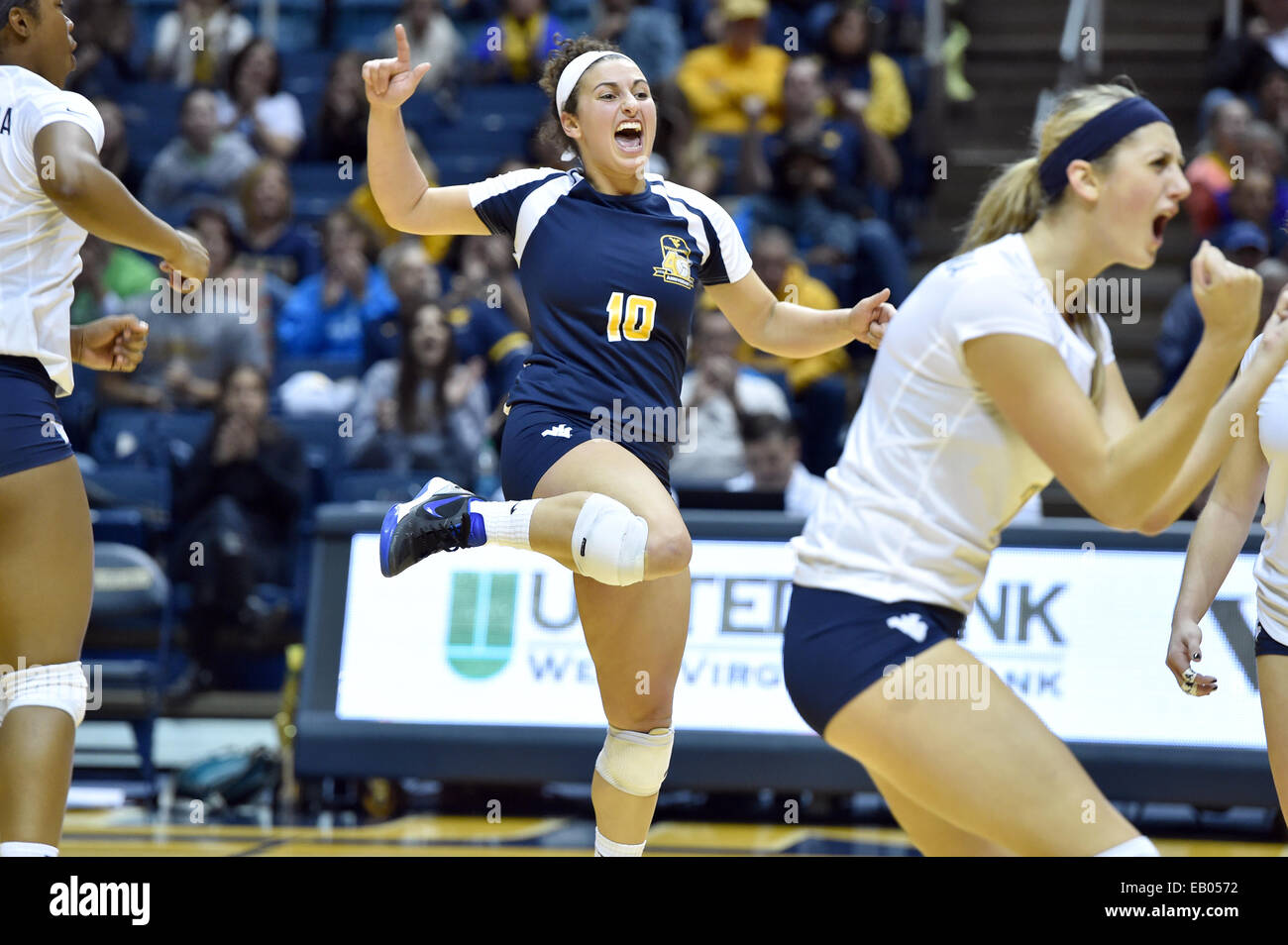 Libero volleyball hires stock photography and images Alamy