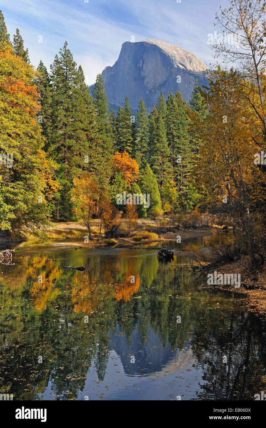Pine trees and fall foliage surround Half Dome and reflect in the Merced River in Yosemite Valley National Park. Stock Photo