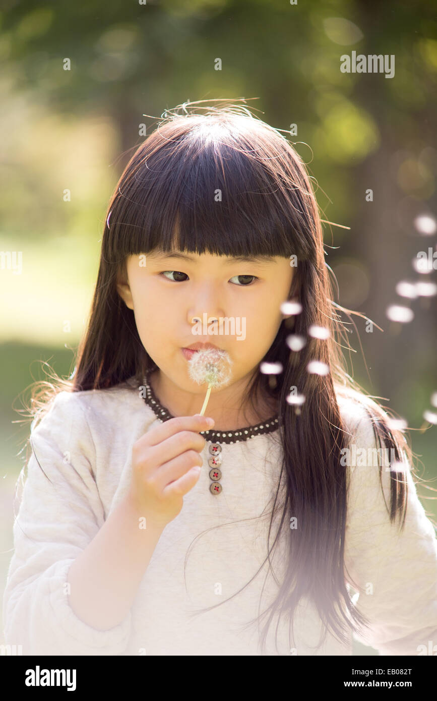 The girl blow the dandelion dance in the wind Stock Photo