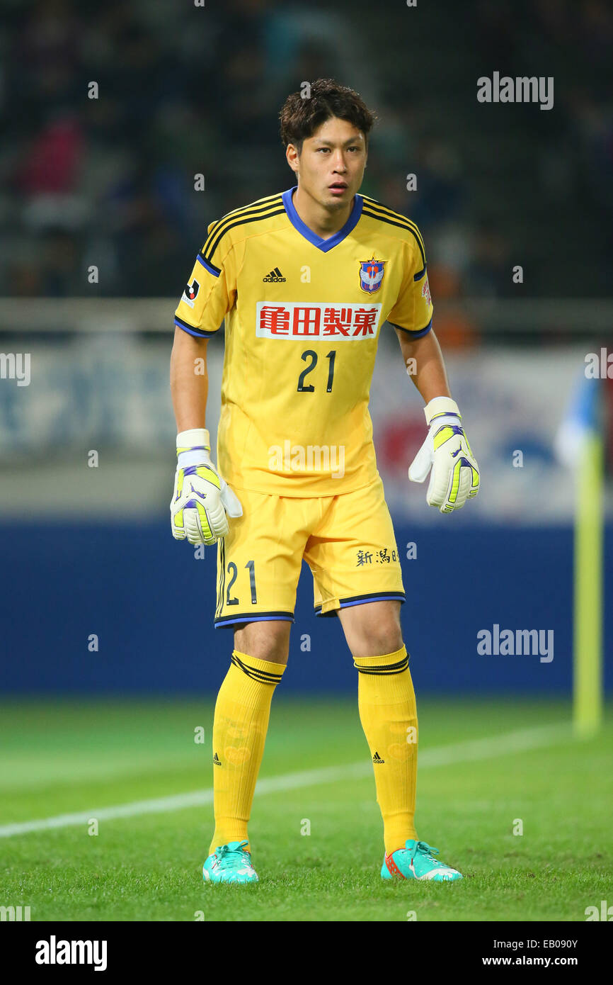Ajinomoto Stadium, Tokyo, Japan. Nov, 2014. Tatsuya Morita (Albirex), NOVEMBER 22, 2014 - Football/Soccer : 2014